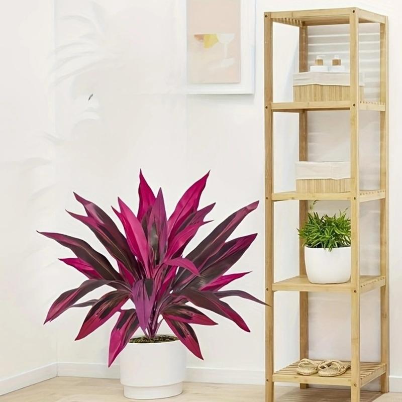 Dracaena Marginata - พืช Dracaena Marginata ประดิษฐ์สูง 60 ซม.