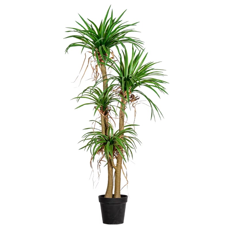 Dracaena Marginata - ต้นไม้ประดิษฐ์ในร่ม/กลางแจ้ง ต้นดรากาเนียจำลองในกระถาง ต้นไม้สีเขียวประดับตกแต่ง ทำจากพลาสติก