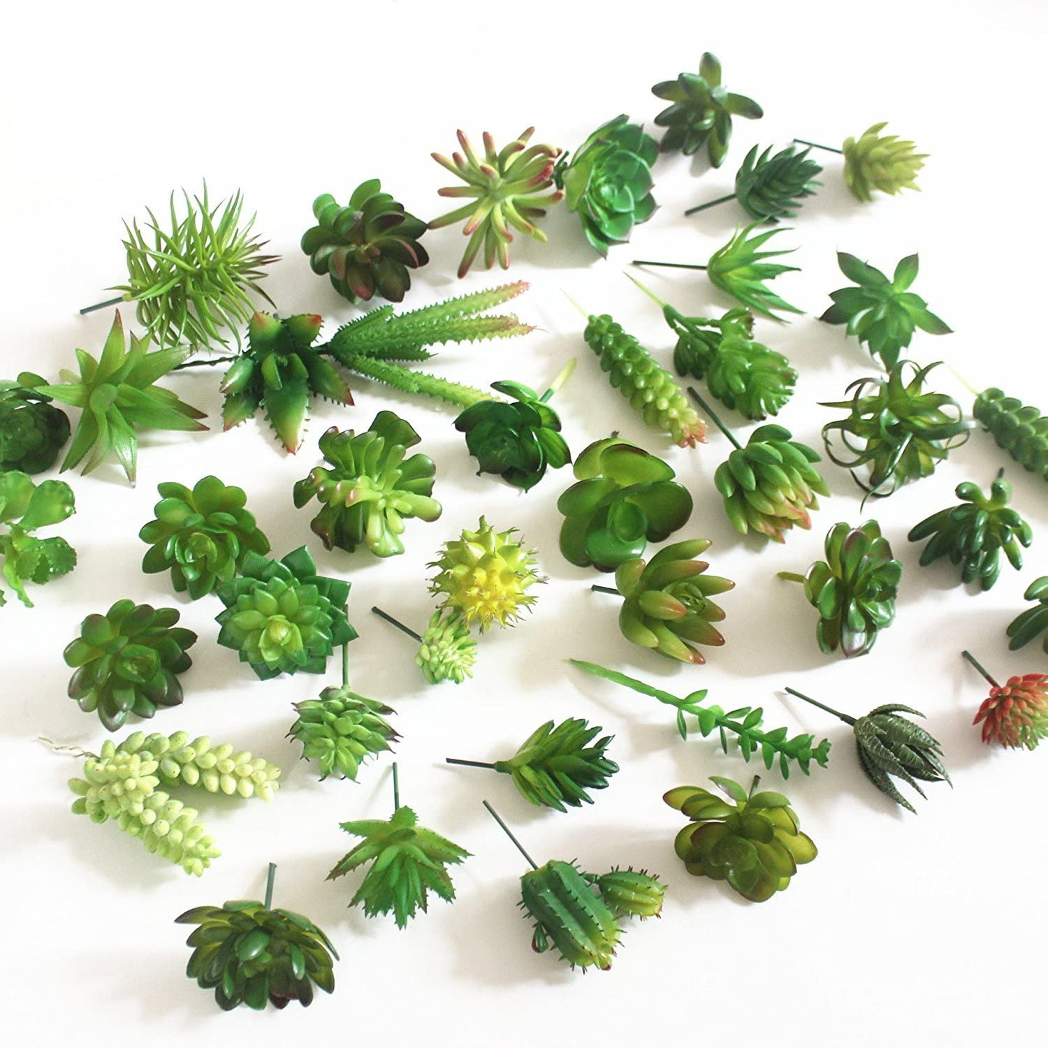 Echeveria Succulent - 15ชิ้นของตกแต่งพืชอิ่มน้ำปลอมพืชอวบน้ำปลอม unpotted สำหรับ DIY ตกแต่งบ้านติดกำแพง (สีเขียวส่งแบบสุ่ม)