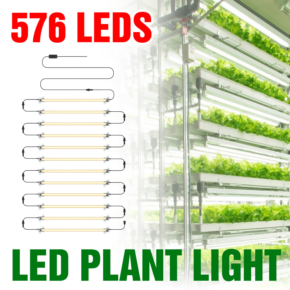 Echeveria Succulent - LED Grow Light Strip Full Spectrum