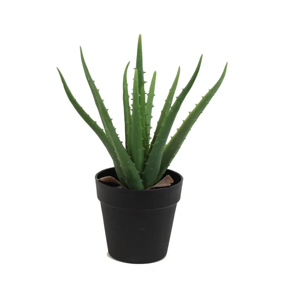 Aloe Vera Pot - ต้นว่านหางจระเข้ประดิษฐ์ขนาด 14 นิ้ว ของ The Mod