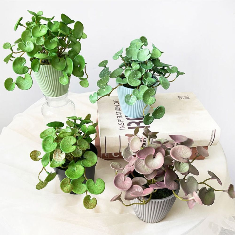 Echeveria Succulent - กาวนุ่มประดิษฐ์ EVA สีเขียว Succulent พืชใบแขวนผนัง Home