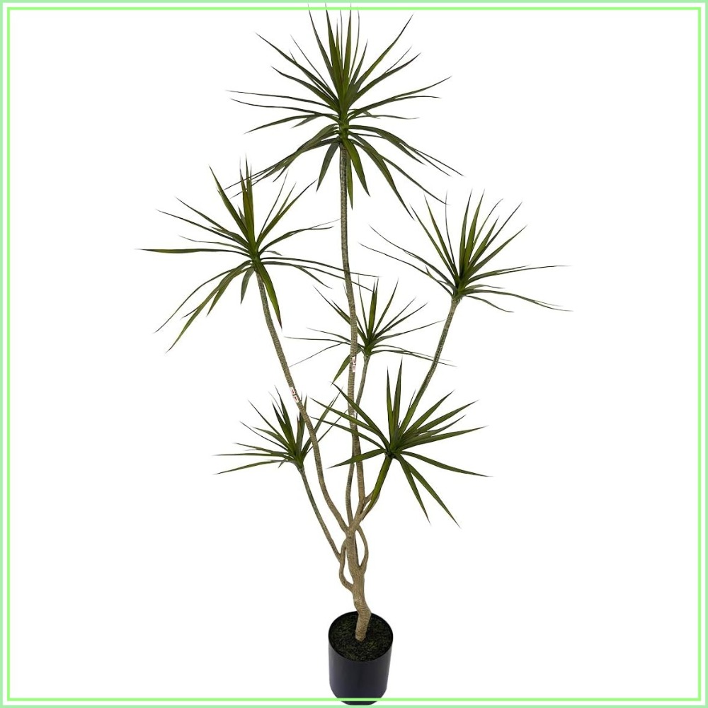 Dracaena Marginata - ต้นดรากีน่า มาร์จินาตา ประดิษฐ์ สูง 6 ฟุต