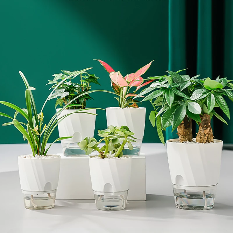 Aloe Vera Pot - Lazy Hydroponic ดอกไม้หม้อดูดซับน้ําอัตโนมัติกระถางดอกไม้โปร่งใส Double Layer พลาสติกรดน้ําด้วยตนเอง