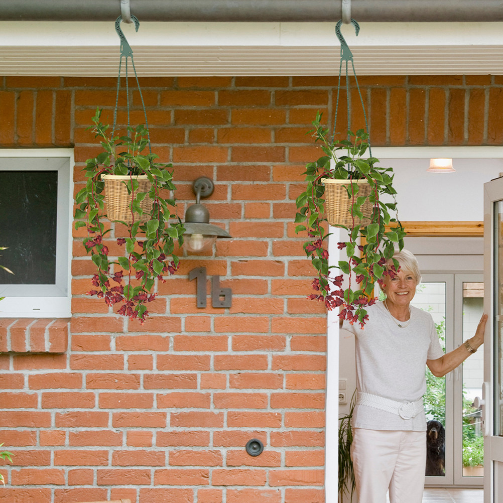 Spider Plant Hanging - ตะขอแขวนกระถางต้นไม้ 5 ชิ้น อเนกประสงค์ ประหยัดพื้นที่ ใช้แขวนกระถางต้นไม้ในร่ม