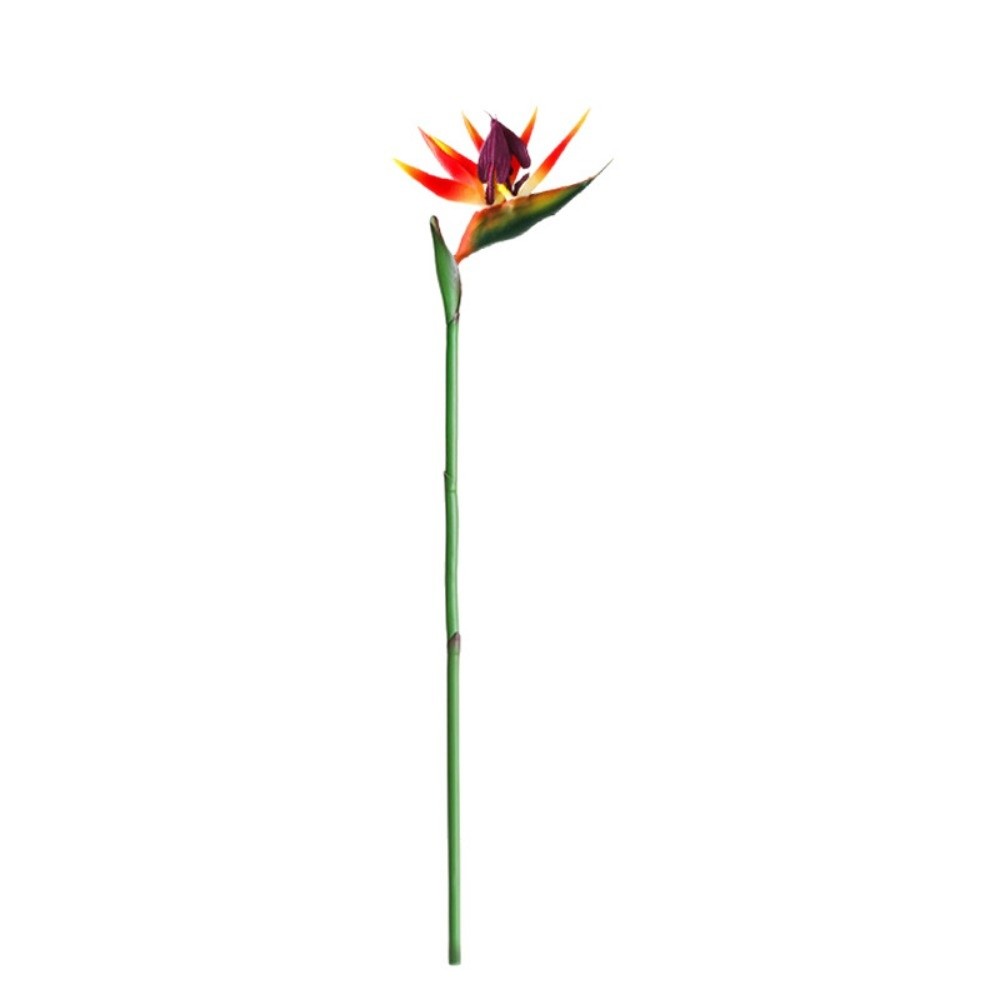 ดอกสตรีลิเซียประดิษฐ์ ก้านยาว  - Bird Paradise Strelitzia บทวิจารณ์และราคา