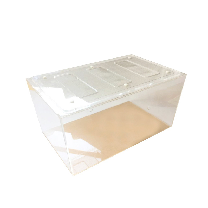 กล่องสังเกตการณ์โปร่งใสสำหรับก - Begonia Rex บทวิจารณ์และราคา