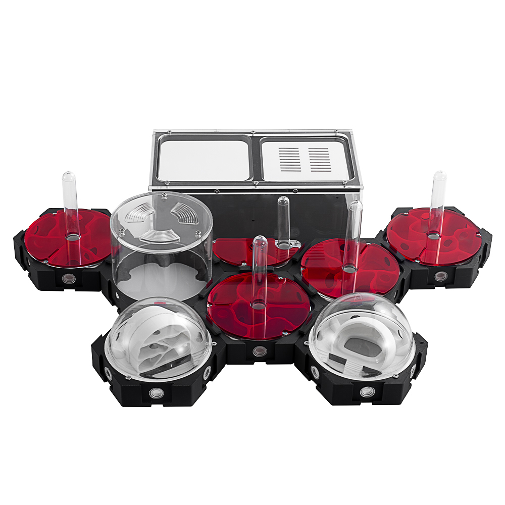 กล่องรังมดพิมพ์ลาย3D สำหรับงาน - Begonia Rex บทวิจารณ์และราคา