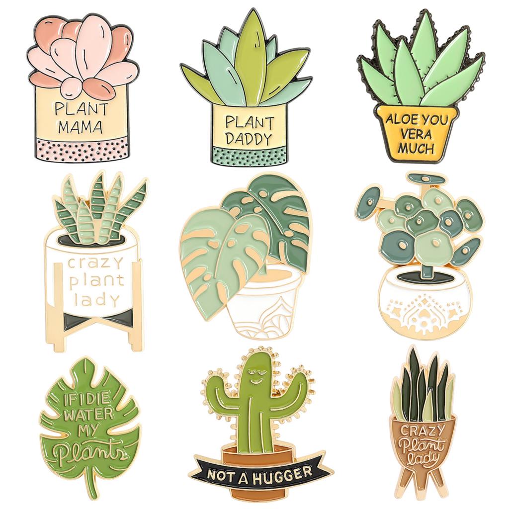 กระถางต้นไม้เข็มกลัด Monstera  - Aloe Vera Pot บทวิจารณ์และราคา