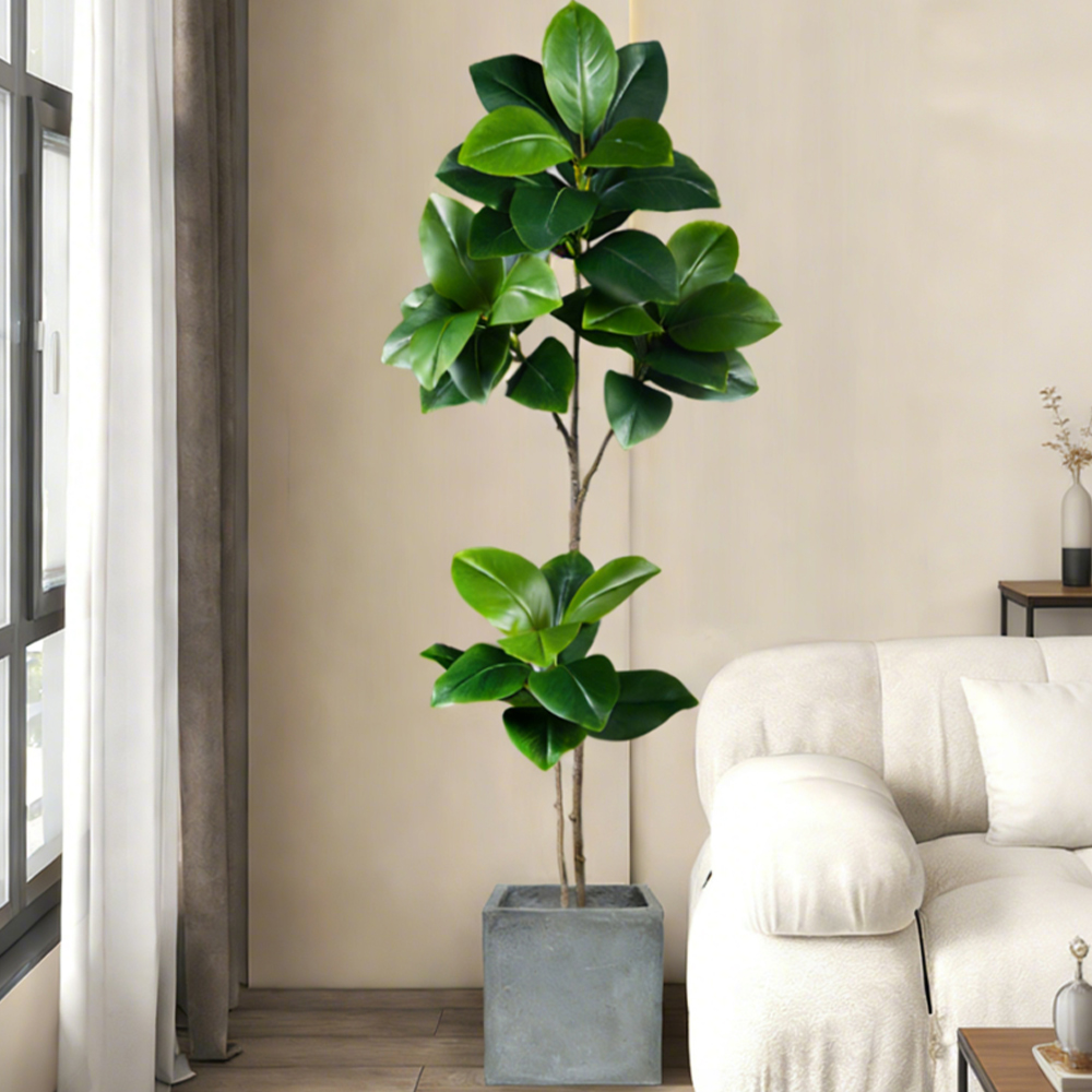 ต้นยางพาราปลอมขนาด 74-140 ซม.  - Ficus Lyrata Tree บทวิจารณ์และราคา