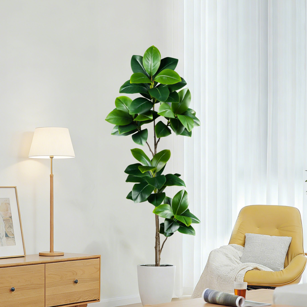 ต้นยางพาราปลอมขนาด 74-140 ซม.  - Ficus Lyrata Tree บทวิจารณ์และราคา