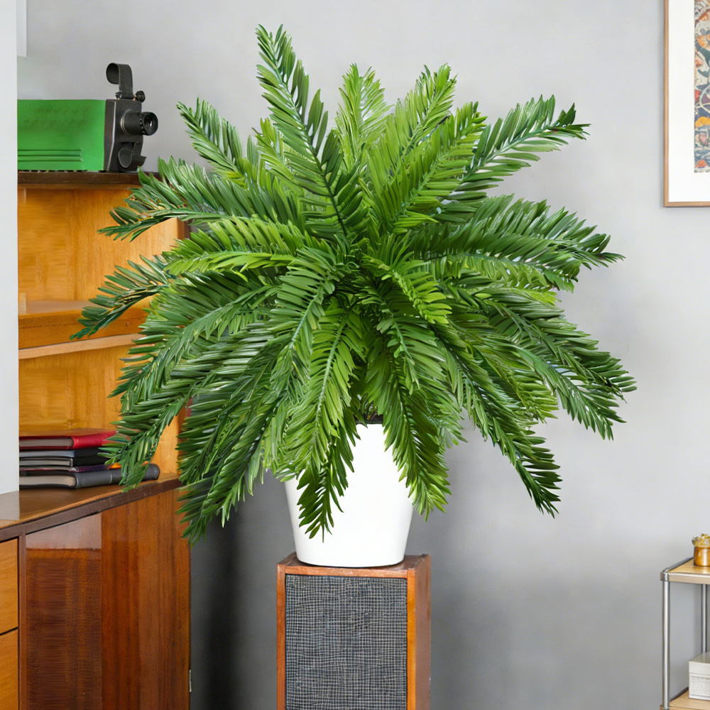 ต้นปาล์มประดิษฐ์ขนาด 45 ซม. ต้ - Dracaena Marginata บทวิจารณ์และราคา