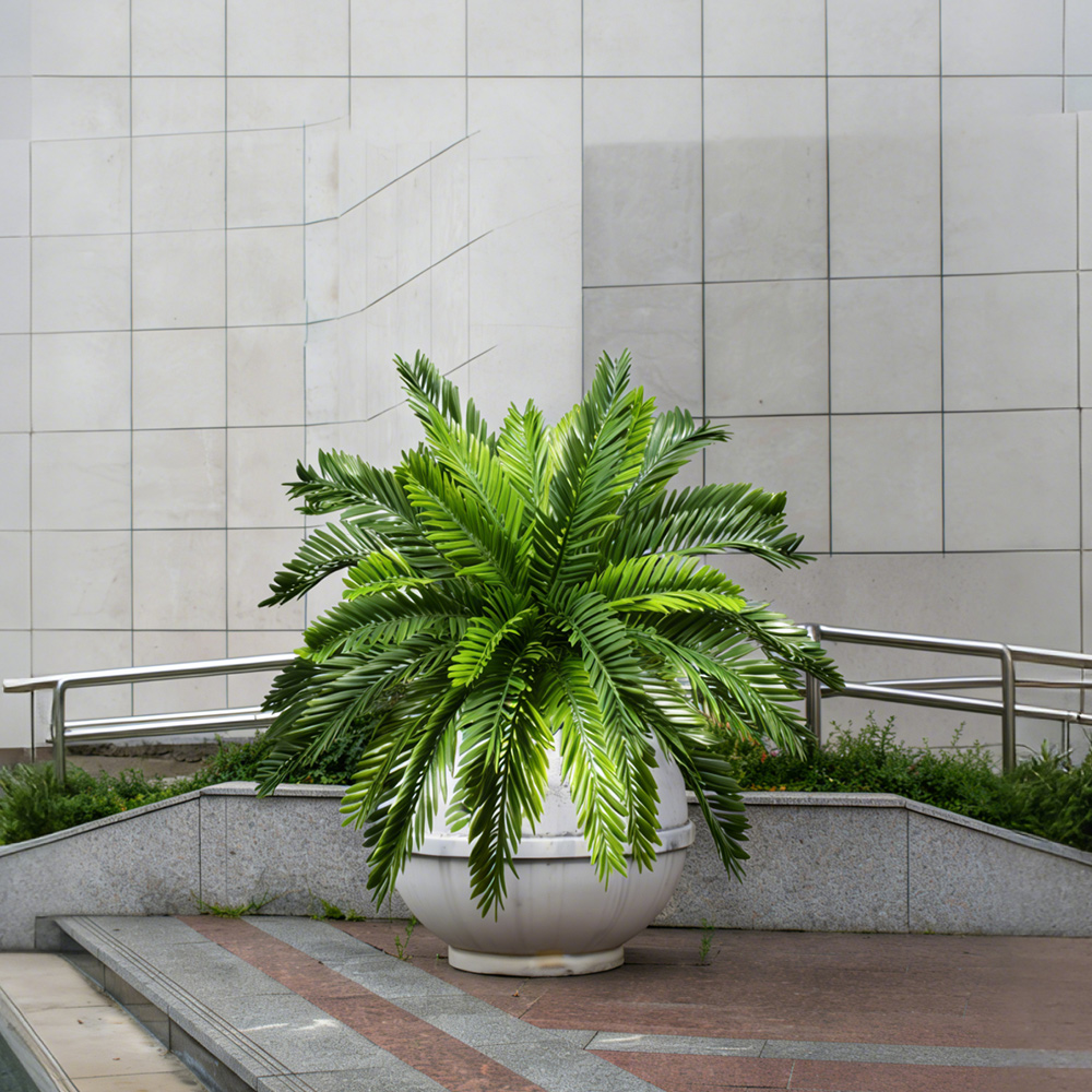 ต้นปาล์มประดิษฐ์ขนาด 45 ซม. ต้ - Dracaena Marginata บทวิจารณ์และราคา