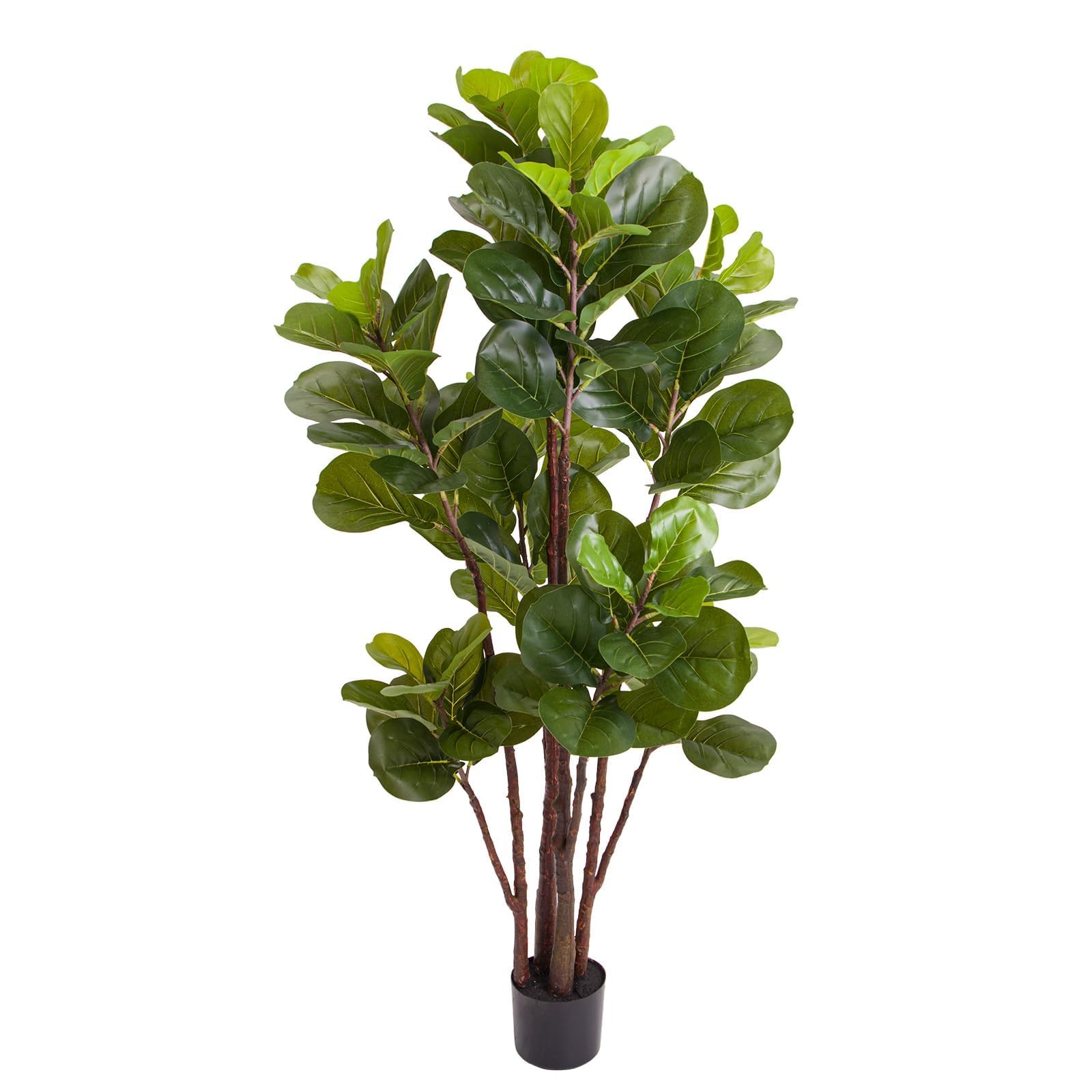 ต้นมะเดื่อใบแฉกประดิษฐ์ ขนาด 5 - Ficus Lyrata Tree บทวิจารณ์และราคา