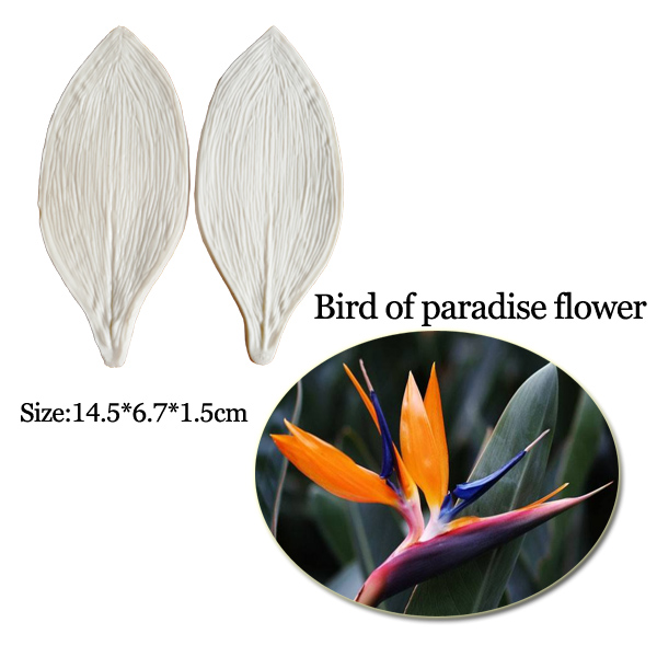 ขนาดใหญ่ Gumpaste Strelitzia B - Bird Paradise Strelitzia บทวิจารณ์และราคา