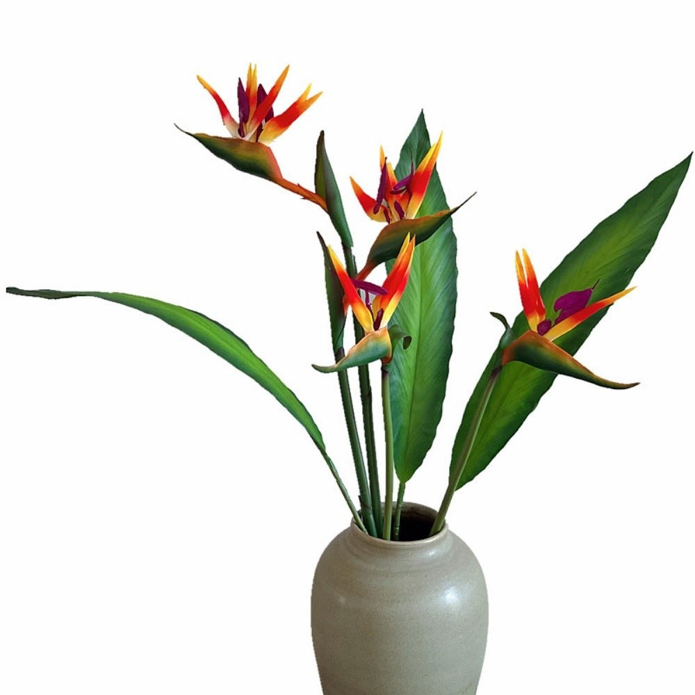 ดอกสตรีลิเซียปลอม ก้านยาว แบบใ - Bird Paradise Strelitzia บทวิจารณ์และราคา