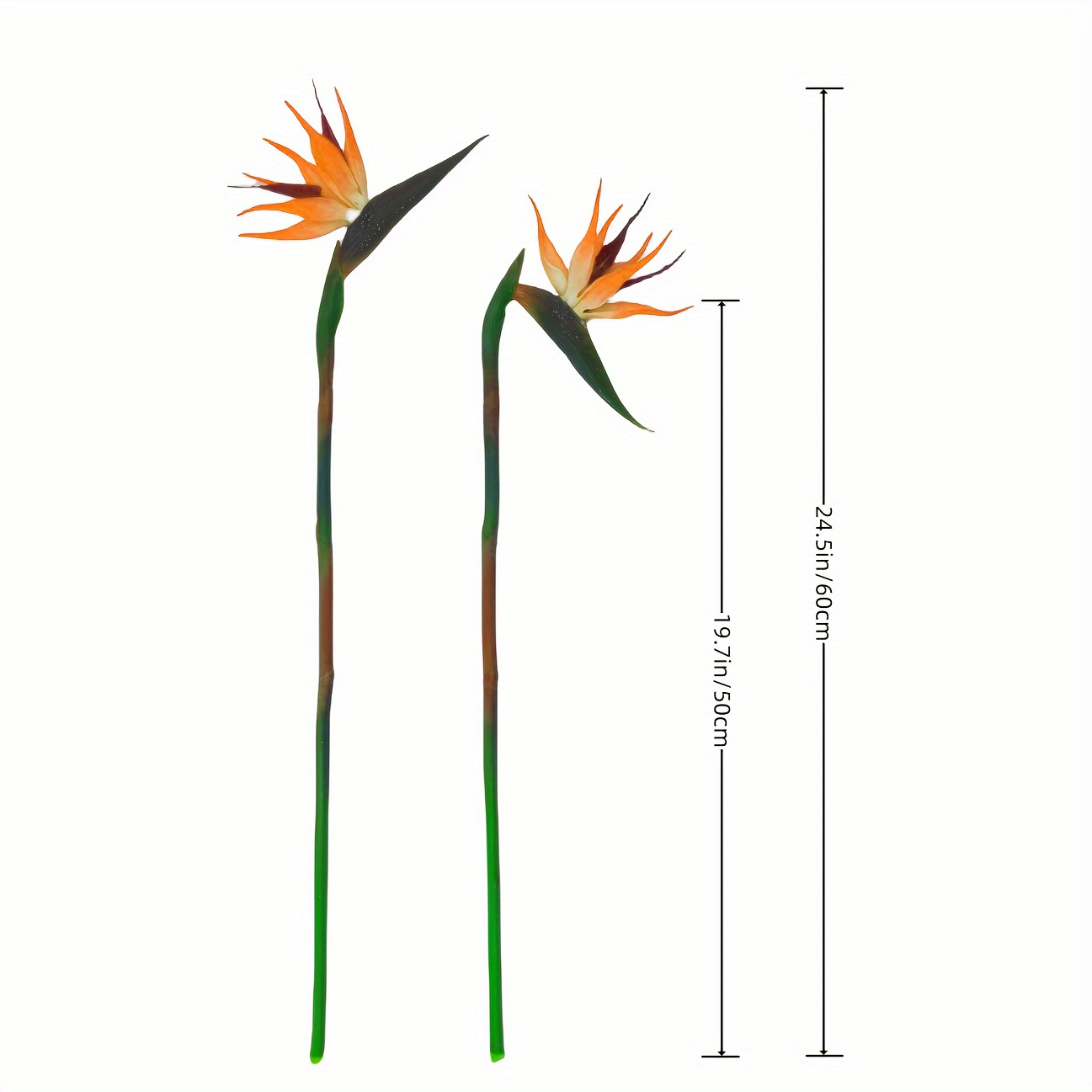 3 ชิ้นประดิษฐ์สวรรค์นกดอกไม้ปล - Bird Paradise Strelitzia บทวิจารณ์และราคา