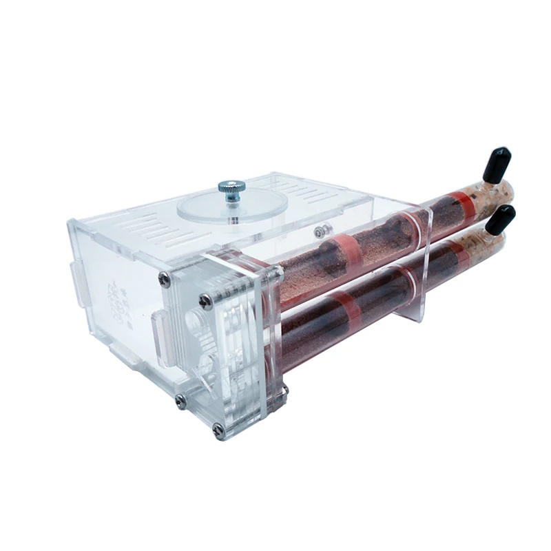 DIY Ant Farm 2 ชิ้น 18-180 มิล - Begonia Rex บทวิจารณ์และราคา