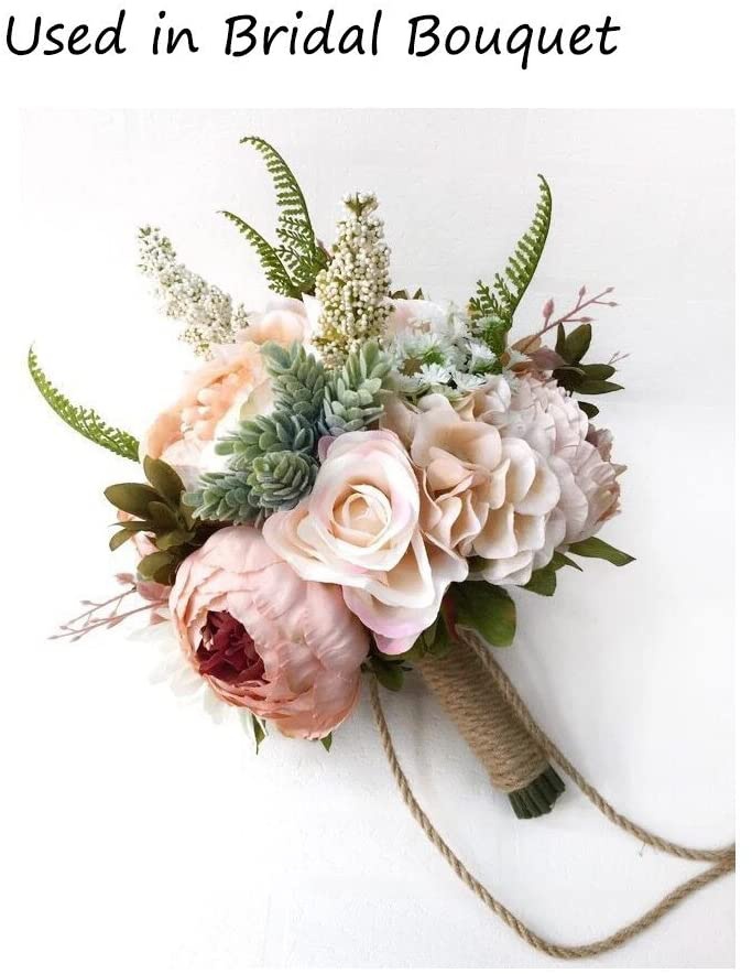 15ชิ้นของตกแต่งพืชอิ่มน้ำปลอมพ - Echeveria Succulent บทวิจารณ์และราคา