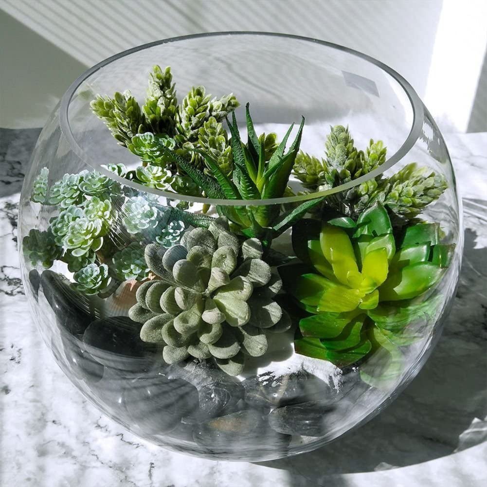 15ชิ้นของตกแต่งพืชอิ่มน้ำปลอมพ - Echeveria Succulent บทวิจารณ์และราคา