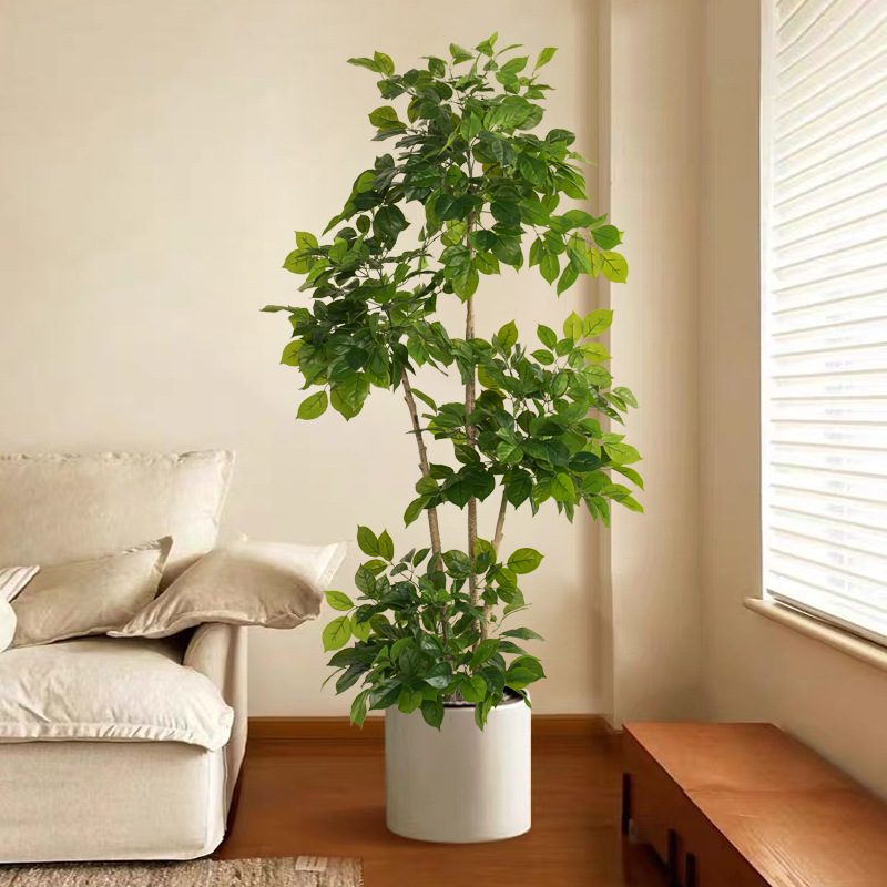 2-78in ขนาดใหญ่พืชปลอมประดิษฐ์ - Ficus Lyrata Tree บทวิจารณ์และราคา