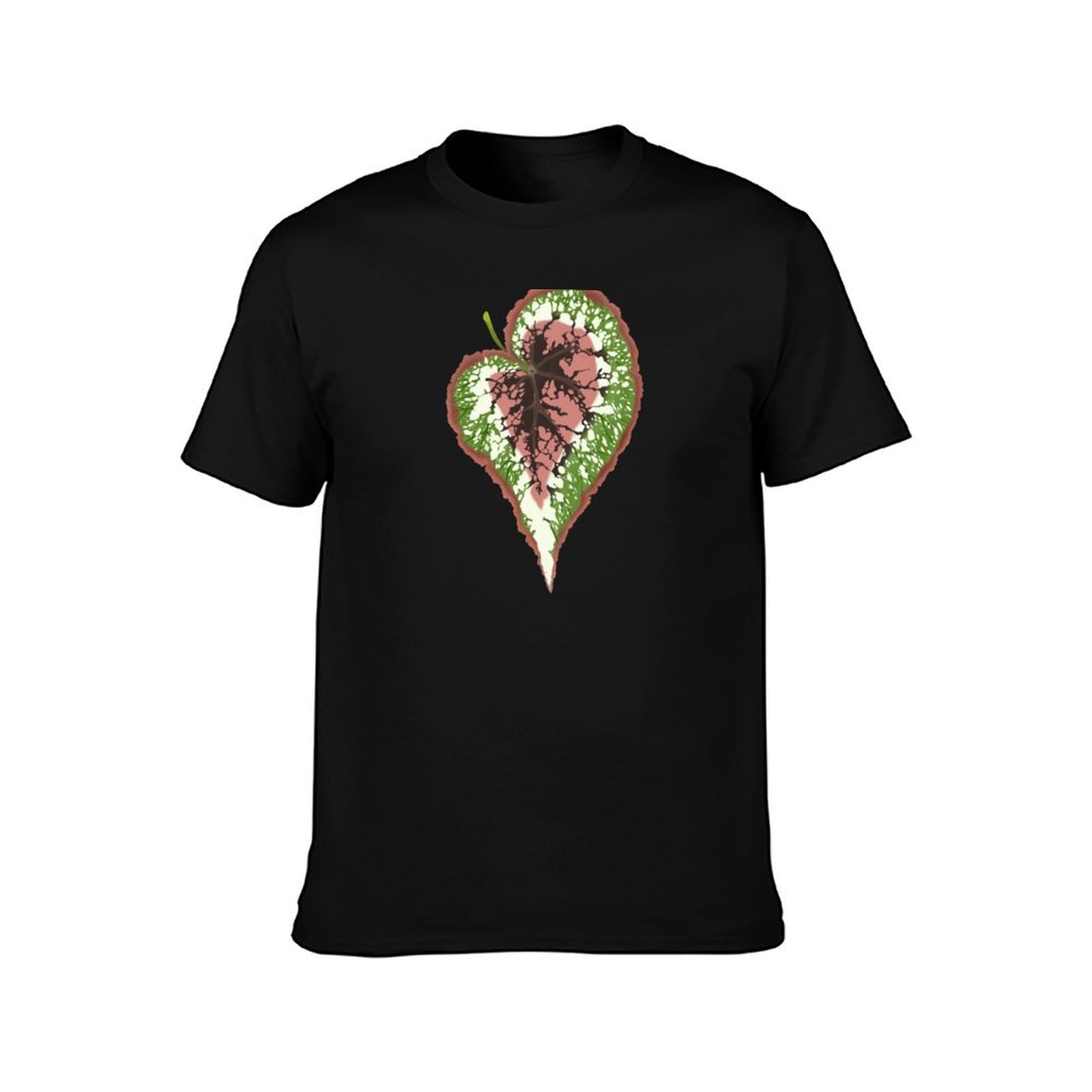 เสื้อยืดเบโกเนีย เร็กซ์ดีไซน์เ - Begonia Rex บทวิจารณ์และราคา