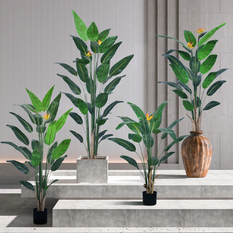 ต้นสตรีลิซเซียปลอมขนาดใหญ่เหมื - Bird Paradise Strelitzia บทวิจารณ์และราคา