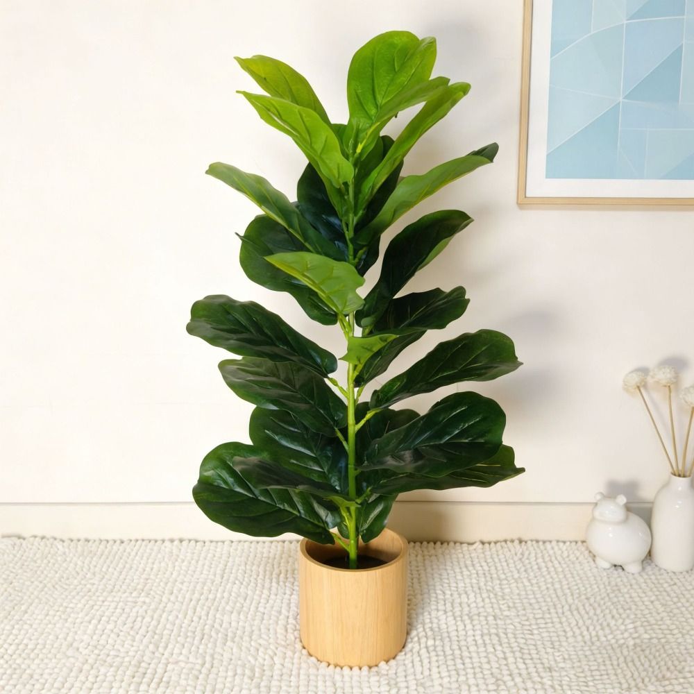 ต้นไทรพลาสติกสีเขียวขนาดใหญ่ 2 - Ficus Lyrata Tree บทวิจารณ์และราคา