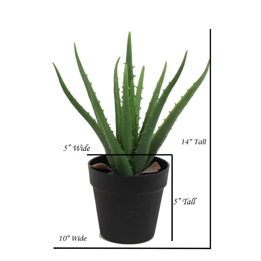 ต้นว่านหางจระเข้ประดิษฐ์ขนาด 1 - Aloe Vera Pot บทวิจารณ์และราคา