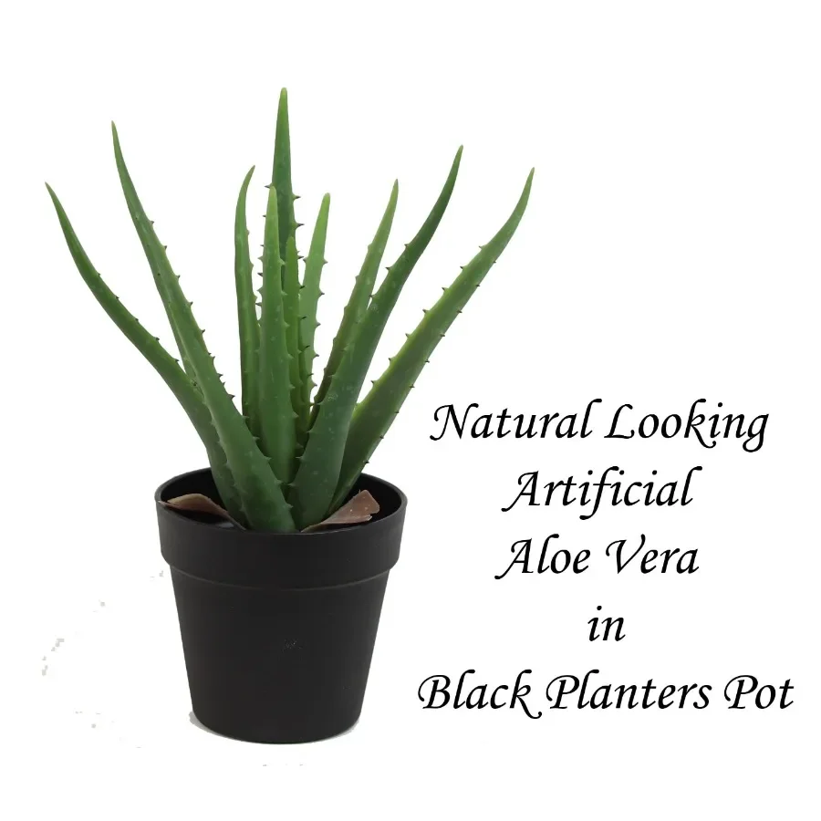 ต้นว่านหางจระเข้ประดิษฐ์ขนาด 1 - Aloe Vera Pot บทวิจารณ์และราคา