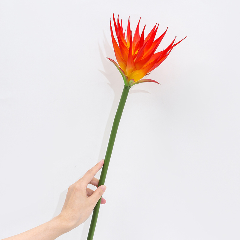 ดอกไม้ประดิษฐ์ Bird of Paradis - Bird Paradise Strelitzia บทวิจารณ์และราคา