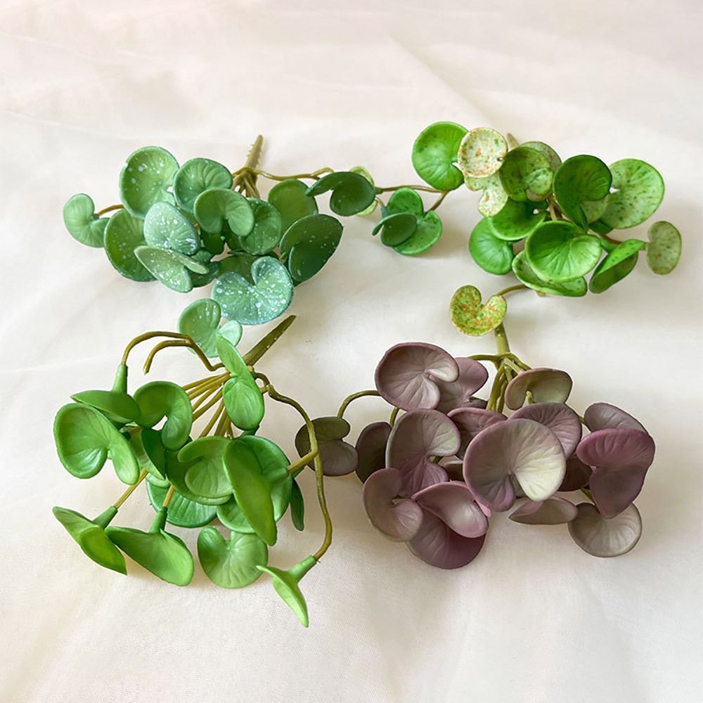 กาวนุ่มประดิษฐ์ EVA สีเขียว Su - Echeveria Succulent บทวิจารณ์และราคา