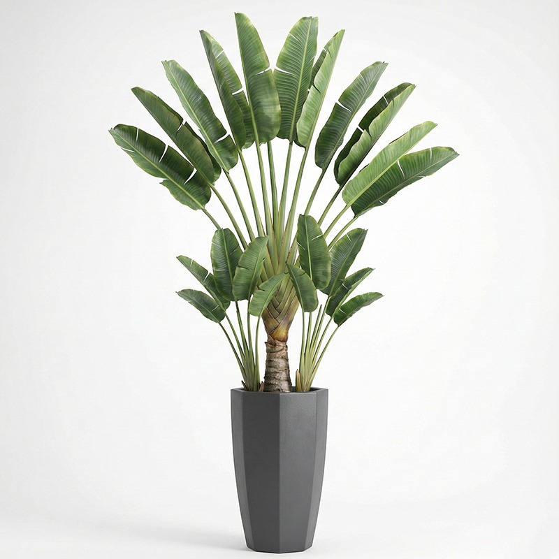 ต้นไทรใบพลาสติกจำลองคุณภาพสูง  - Ficus Lyrata Tree บทวิจารณ์และราคา