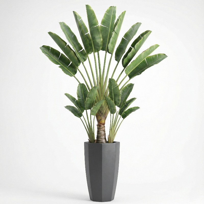 ต้นไทรใบพลาสติกจำลองคุณภาพสูง  - Ficus Lyrata Tree บทวิจารณ์และราคา