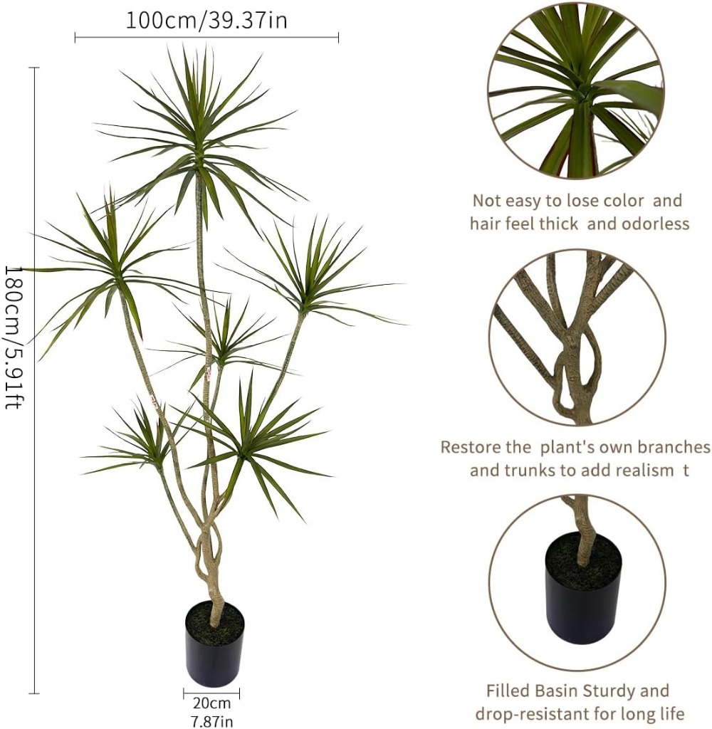 ต้นดรากีน่า มาร์จินาตา ประดิษฐ - Dracaena Marginata บทวิจารณ์และราคา