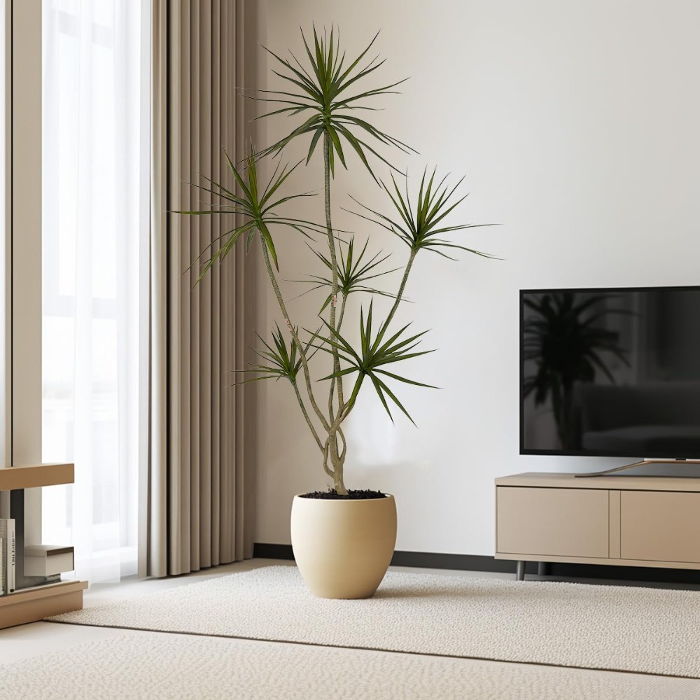 ต้นดรากีน่า มาร์จินาตา ประดิษฐ - Dracaena Marginata บทวิจารณ์และราคา
