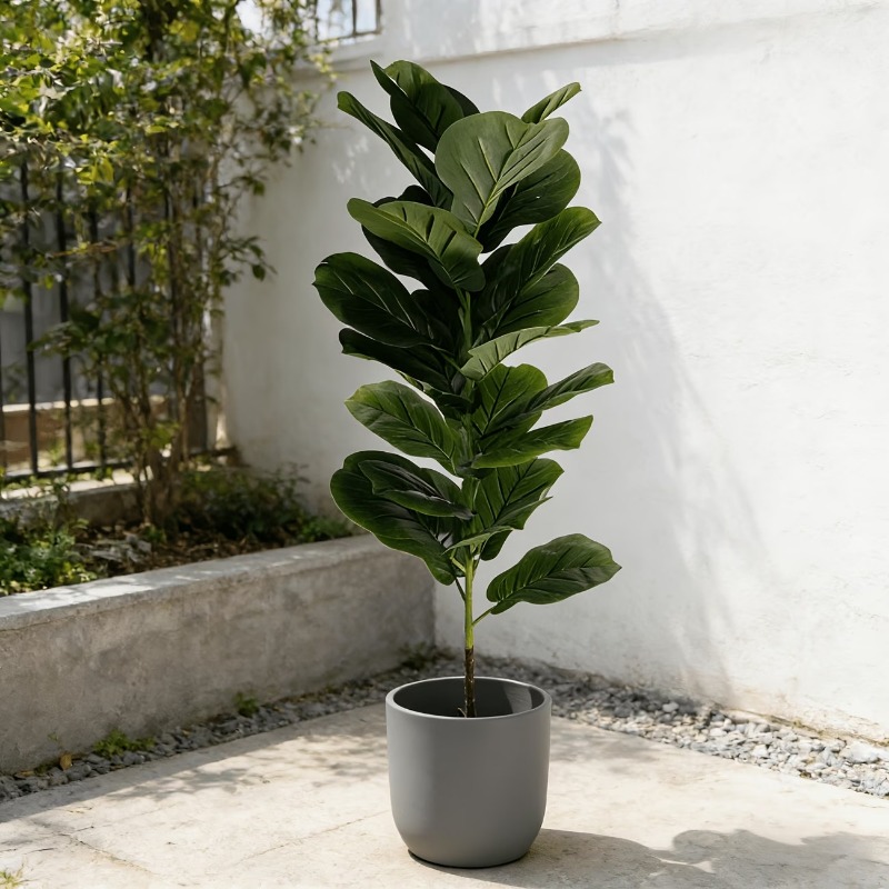 ต้นไม้ประดิษฐ์ฟิคัส ลิราตา ขนา - Ficus Lyrata Tree บทวิจารณ์และราคา