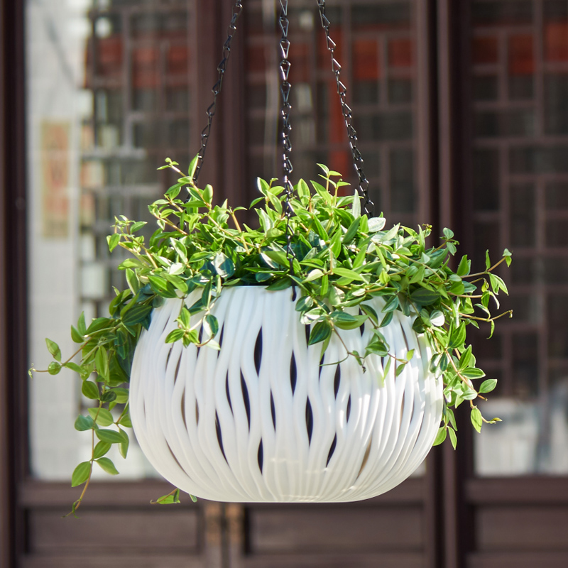 กระถางแขวน, พลาสติกทรงพิเศษ, ต - Spider Plant Hanging บทวิจารณ์และราคา