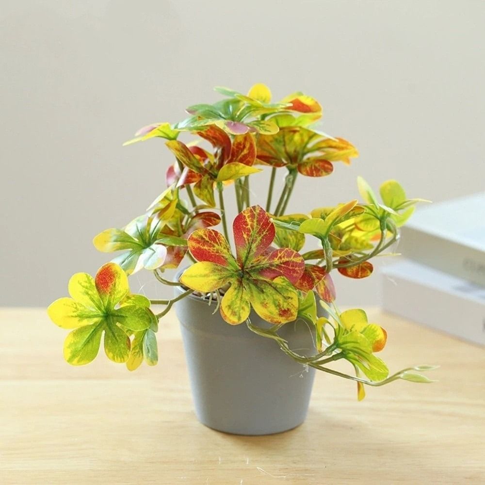 บอนไซ ต้นบอนไซประดิษฐ์ ต้นไม้ป - Spider Plant Hanging บทวิจารณ์และราคา
