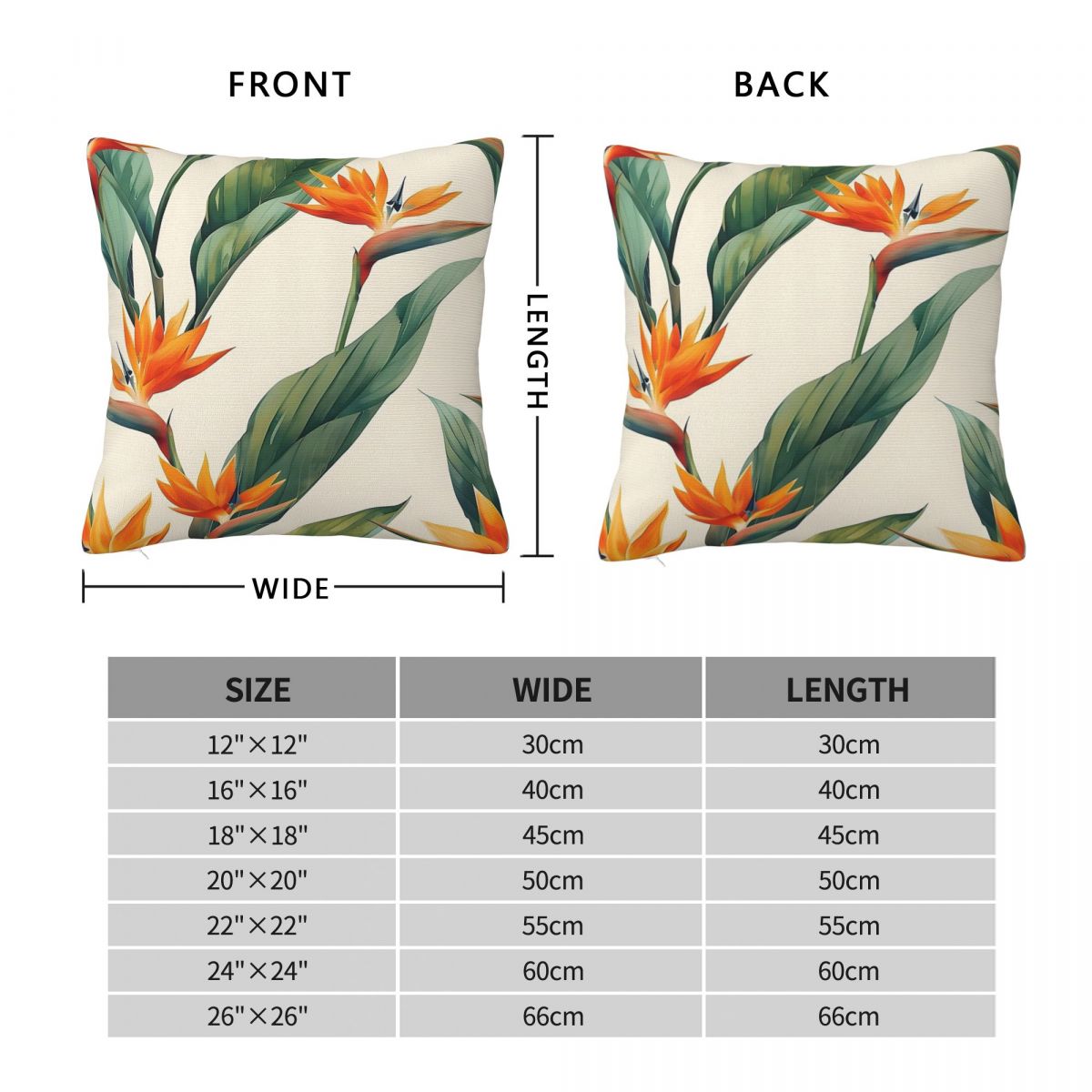 Bird Of Paradise Strelitzia ปล - Bird Paradise Strelitzia บทวิจารณ์และราคา