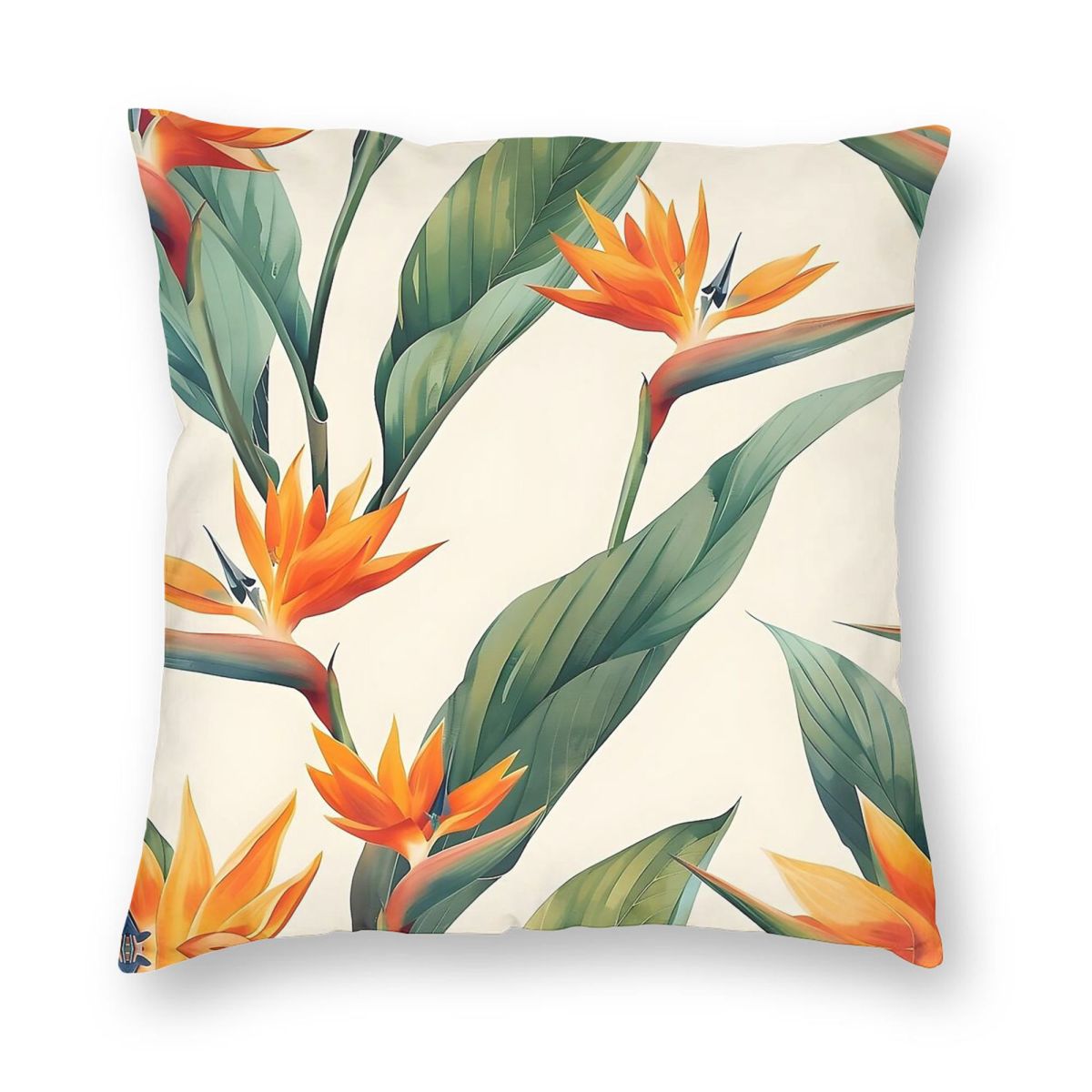 Bird Of Paradise Strelitzia ปล - Bird Paradise Strelitzia บทวิจารณ์และราคา