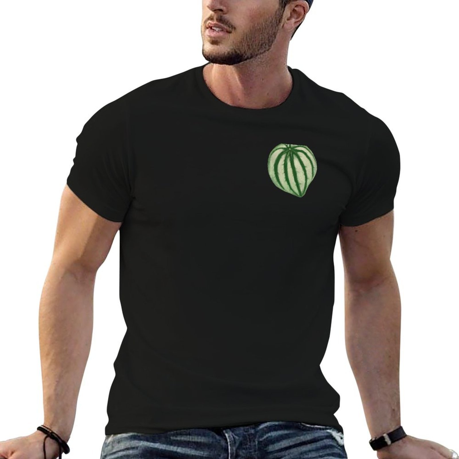 เสื้อยืดวอเตอร์เมลอน เปเปโรเมี - Peperomia Watermelon บทวิจารณ์และราคา