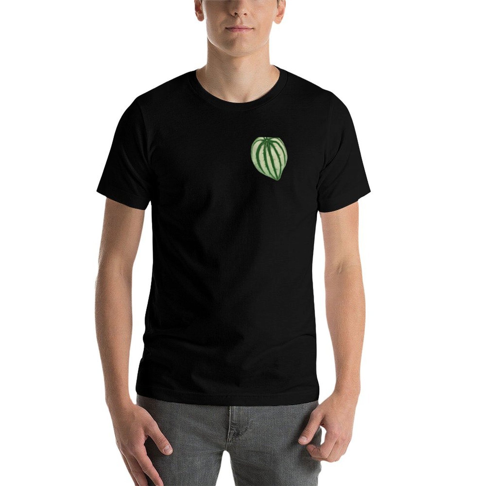 เสื้อยืดวอเตอร์เมลอน เปเปโรเมี - Peperomia Watermelon บทวิจารณ์และราคา