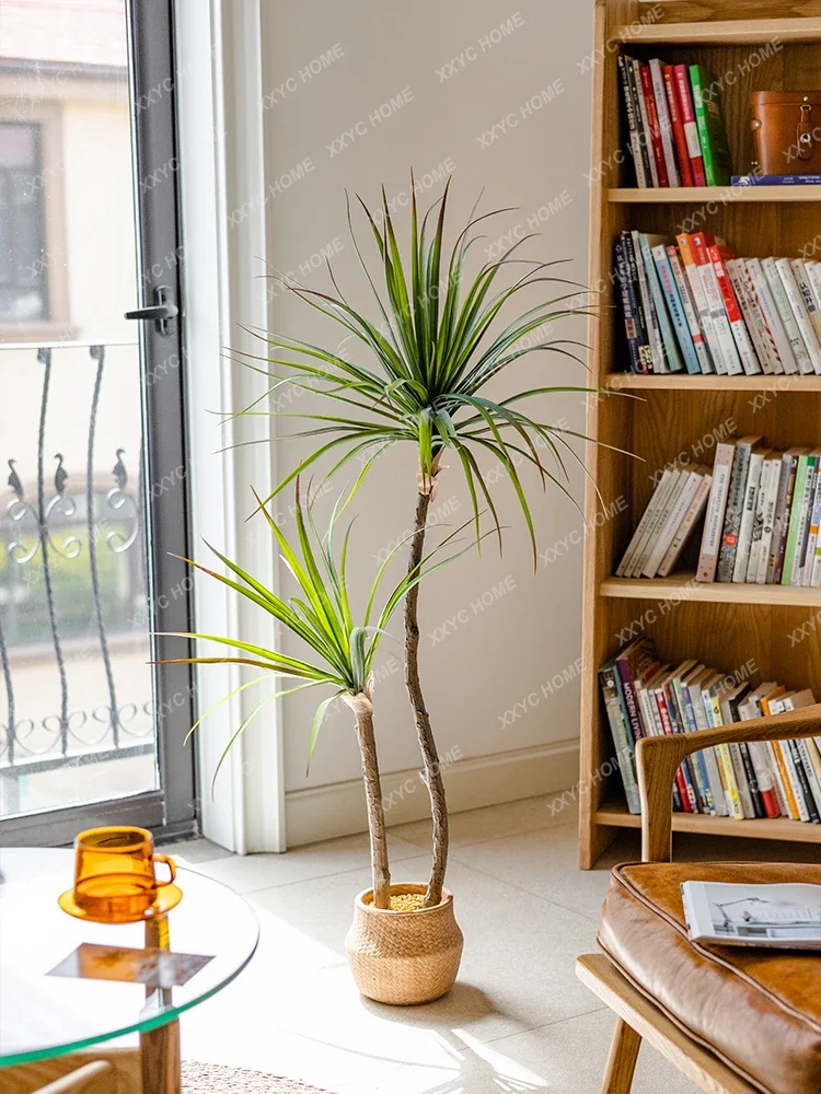 หรูหราจําลองพืชสีเขียว Agave ป - Dracaena Marginata บทวิจารณ์และราคา
