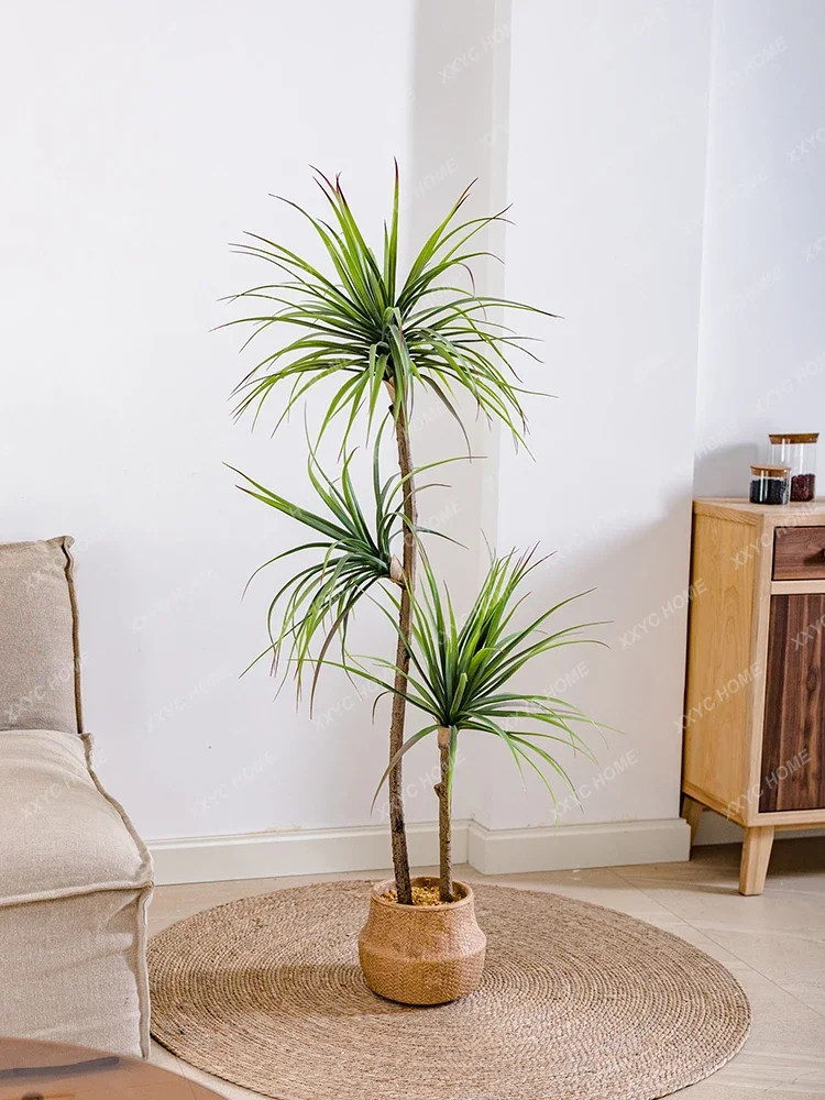 หรูหราจําลองพืชสีเขียว Agave ป - Dracaena Marginata บทวิจารณ์และราคา
