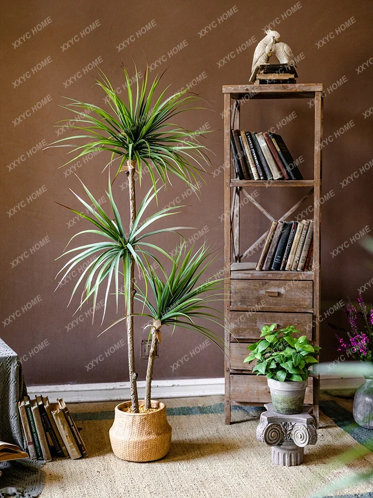 หรูหราจําลองพืชสีเขียว Agave ป - Dracaena Marginata บทวิจารณ์และราคา