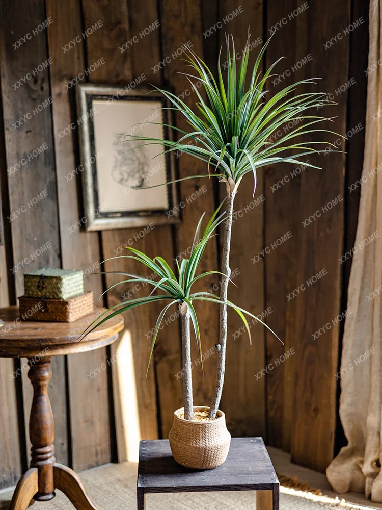 หรูหราจําลองพืชสีเขียว Agave ป - Dracaena Marginata บทวิจารณ์และราคา