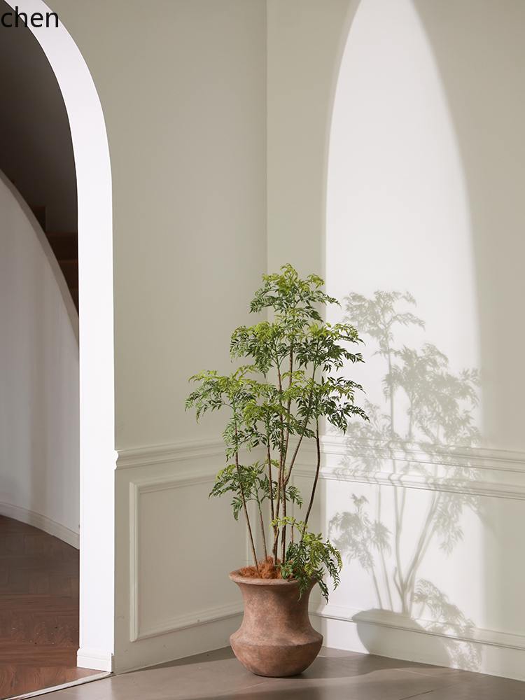แจกันตั้งพื้น ต้นไม้ประดิษฐ์สี - Ficus Lyrata Tree บทวิจารณ์และราคา