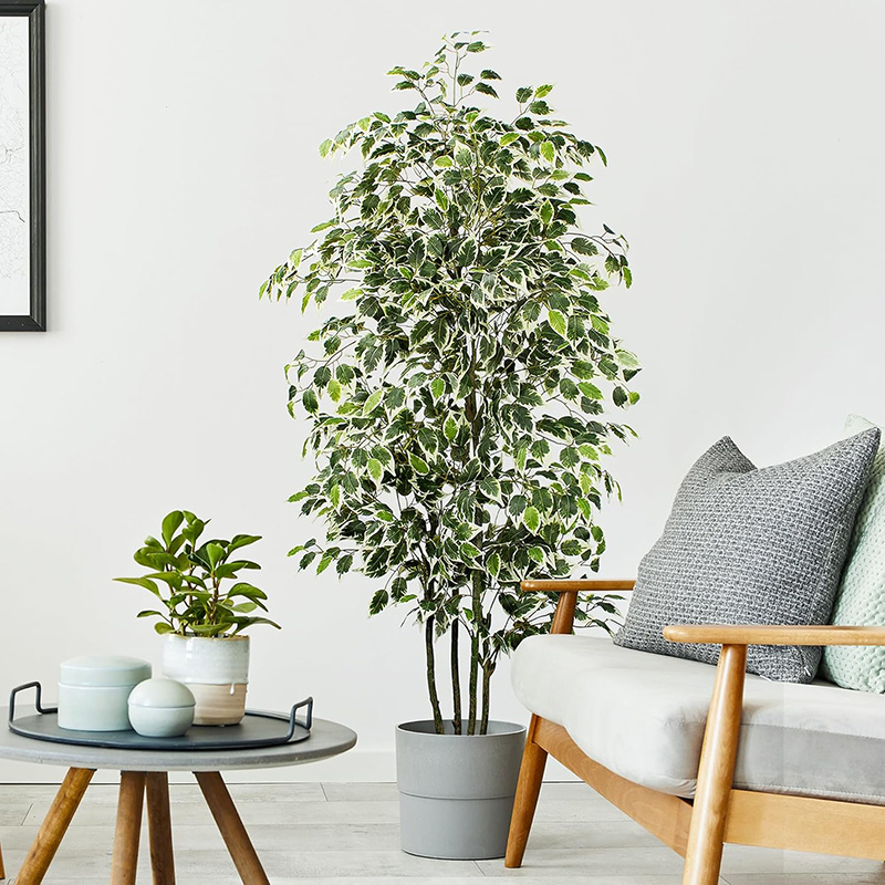 70in ประดิษฐ์ Ficus Tree Faux  - Ficus Lyrata Tree บทวิจารณ์และราคา