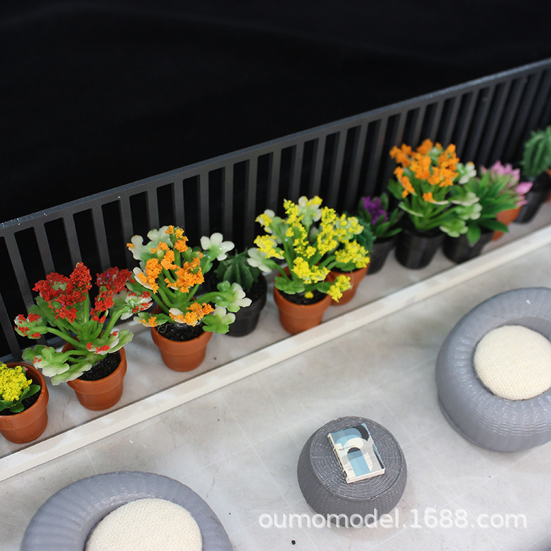 มินิจําลองพืชกระบองเพชรดอกไม้ฉ - Echeveria Succulent บทวิจารณ์และราคา